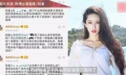 李文最新爆料视频播放,事件真相再引热议