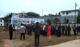 泉州城建爆料事件始末最新消息,最新进展与争议焦点梳理