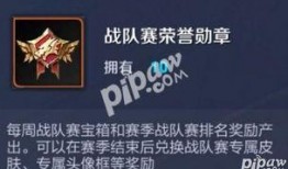 荣耀勋章最新爆料,揭秘神秘荣誉背后的故事与荣耀时刻