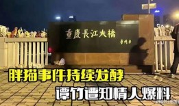 胖猫事件进展最新爆料,最新爆料揭示惊人内幕，真相逐渐浮出水面