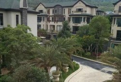 蛇姐最新爆料网址视频,最新爆料网址视频大揭秘！