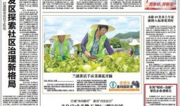 金华爆料最新新闻今天,揭秘XX事件背后真相