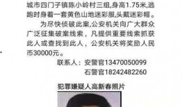 丹东凤城爆料案件最新,揭秘背后惊人真相