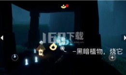 光遇最新爆料月光日,光遇新版本揭秘，神秘活动即将开启！