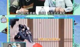 狗仔爆料白鹿最新动态,狗仔爆料揭秘幕后故事